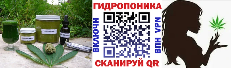 Купить где  Енисейск  Cannafood марихуана 