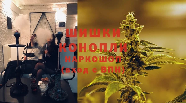 гидропоника Кодинск